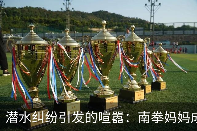 潜水纠纷引发的喧嚣：南拳妈妈成员在帕劳遭遇袭击